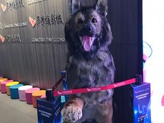 -卢米埃影城(住总万科杜比全景声激光店)