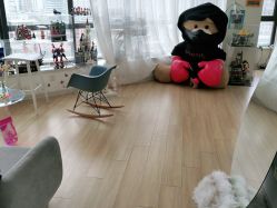 -E.L.K造型momopark店