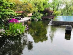 -杭州西子湖四季酒店-WL BISTRO西湖餐厅(灵隐路店)