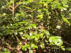 -宁波市保国寺古建筑博物馆