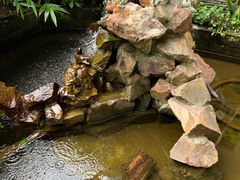 -水岸居湖景农家乐·阳澄湖大闸蟹
