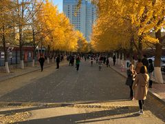 -辽宁大学(崇山校区)
