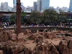 -昆明动物园