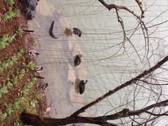 怡沁园度假村-上海怡沁园度假酒店