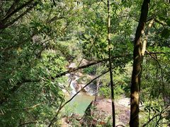 -广州白江湖森林公园