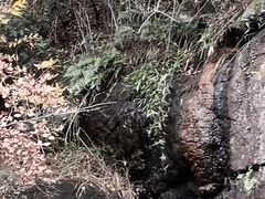 -南京市无想山景区