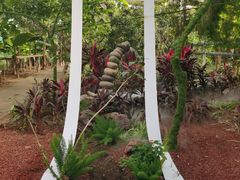 -呀路古热带植物园