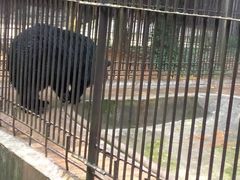 -广东茂名森林公园