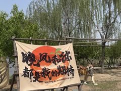 -西青郊野公园