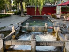-百脉泉景区