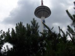 -辽宁电视塔