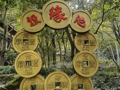 -杭州黄龙洞