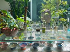 -袁亮今日陶艺(苹果社区总店)