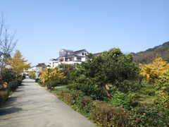 -三山岛
