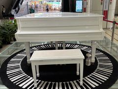 -南方医科大学深圳医院