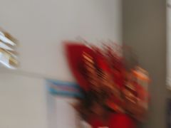 -关爱宠物医院·猫科中心·消化科(滨湖万达分院)