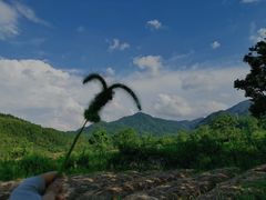 -罗田大别山峡谷漂流