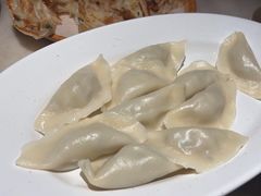 卷心菜鲜肉水饺-北方家宴(祈福店)