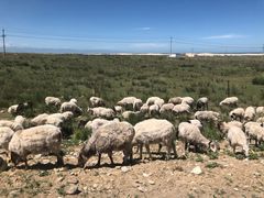 -青海湖国家重点风景名胜区