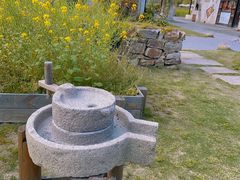 -田园东方蜜桃村的田野营地