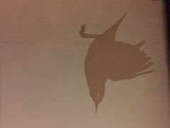 iphone_upload_pic-三清山希尔顿度假酒店