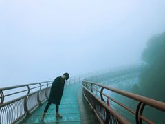 -少华山国家森林公园