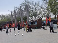 -天津妈祖文化园