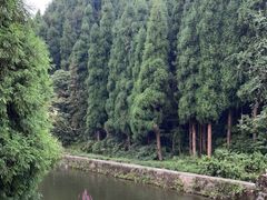 -龙苍沟森林公园