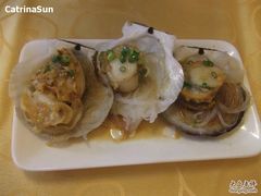 蒜蓉元贝-海岛渔村大酒店(云霄路店)