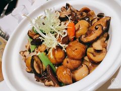 沙姜板栗煲-熹素·鲜美素食Vegetarian (天河领展店)