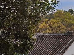 -国恩寺