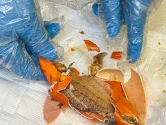 -喜记避风塘炒辣蟹(旗舰店)