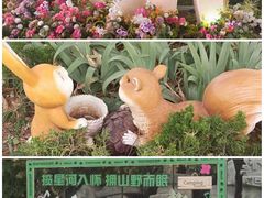 -泰安方特欢乐世界