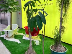 -莲花跑车(国贸商城店)