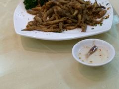 -汕头金乐大酒店