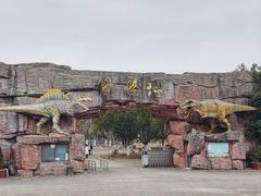 -上海海湾国家森林公园