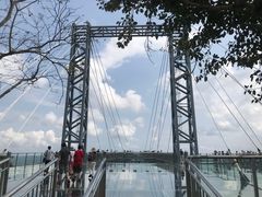 -呀诺达热带雨林