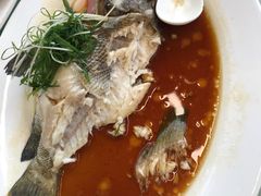 清蒸石斑鱼-新金盛·海鲜酒楼(盐田店)