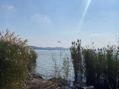 -上海市保健医疗中心