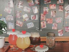 -柴犬高等学院·狗咖·柴犬售卖·宠物训练