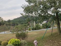 -东莞植物园