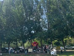 -长白岛森林公园