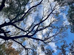 -宝石山