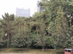 -元大都城垣遗址公园