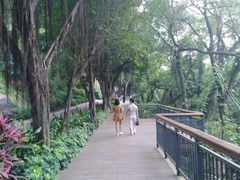 -金鸡山公园