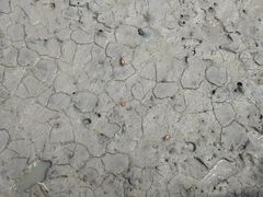 -北海金海湾红树林生态旅游区