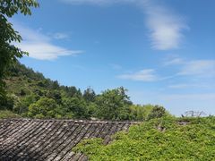 -杨家堂村