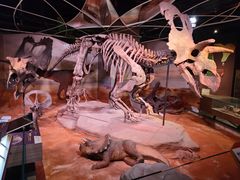 -正佳自然科学博物馆