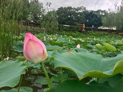 -龙环葡韵住宅式博物馆