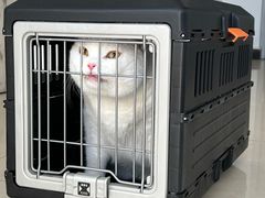 -宠颐生中康贝怡动物医院